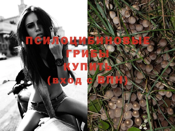 метадон Кукмор