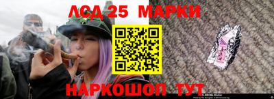 стаф Гусев