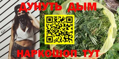 меф Гатчина